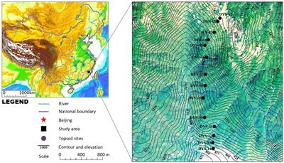 Phytolith Assemblages as a Promising Tool for Quantitative Canopy Coverage Reconstruction in Subtropical Forests, China